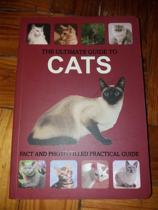 The ultimate guide to cats