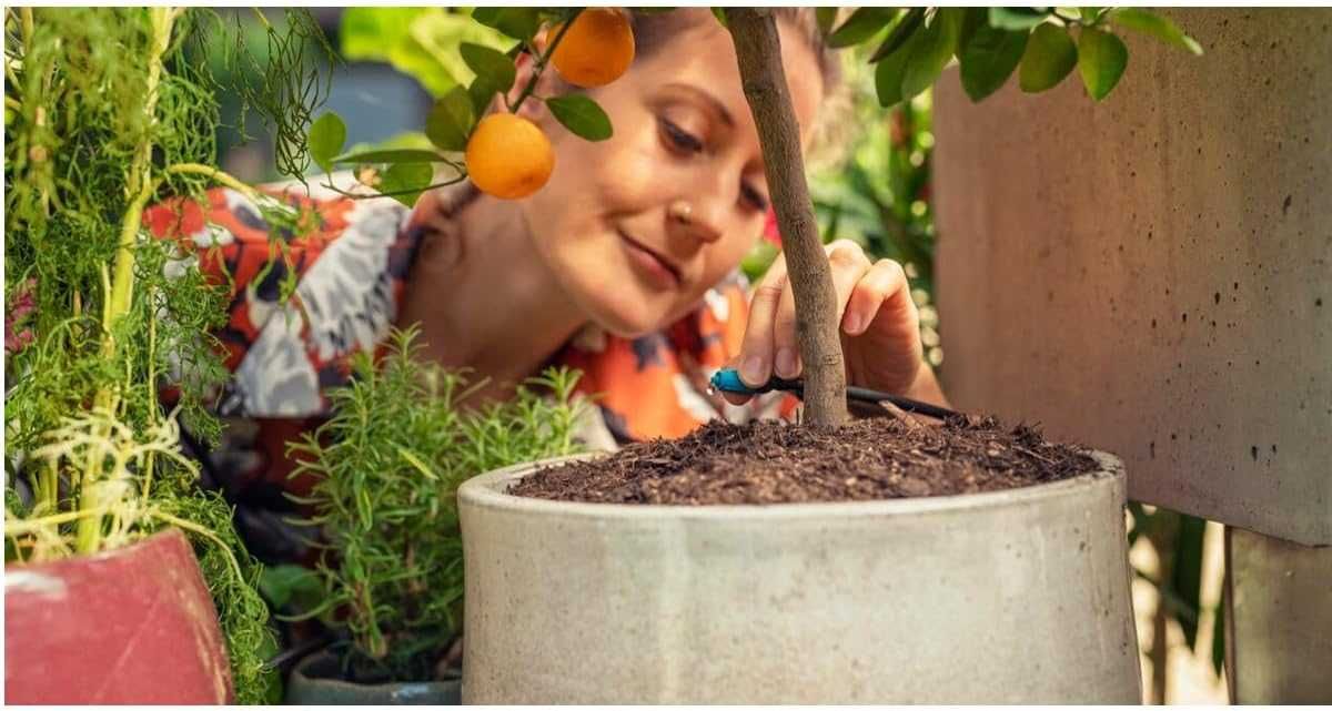полив Gardena  Мікрокрапельна система для поливу квітників і грядок