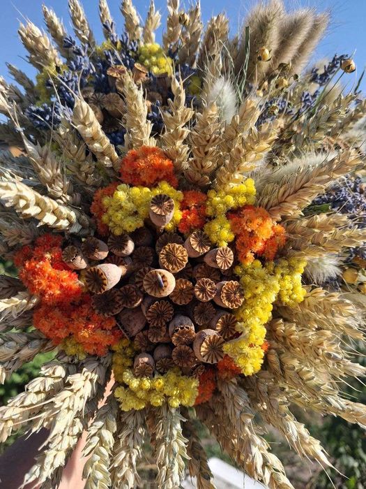 Сухоцвіти( мак, льон, кермек, лаванда,жито,овес,лагурус,фізаліс)