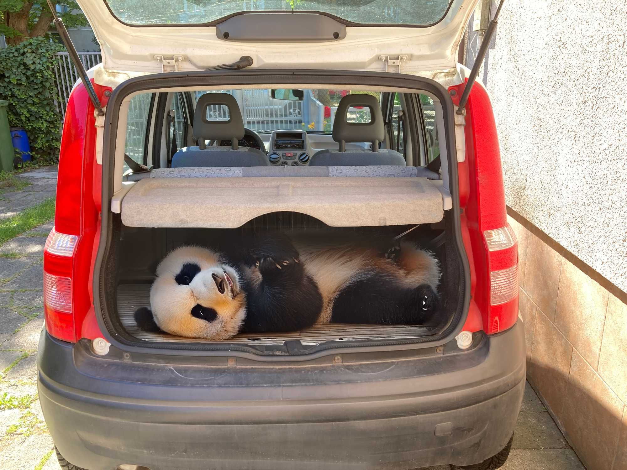 Fiat Panda 1.1, 2004r.