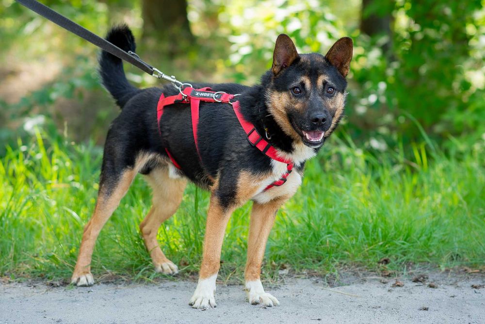 ARLO - pokochaj mnie mocno