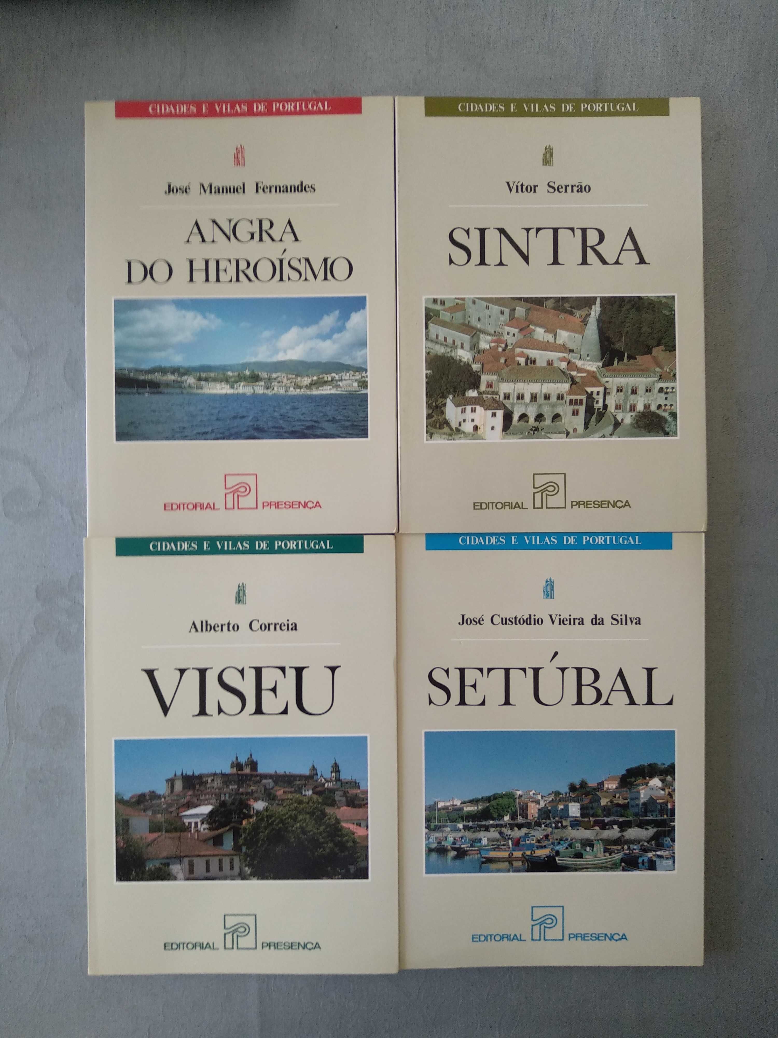 Livros de aldeias, vilas e cidades de Portugal