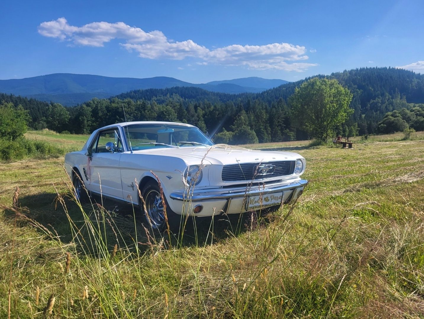 Ford Mustang 1966 V8 do ślubu możliwość samodzielnego prowadzenia !