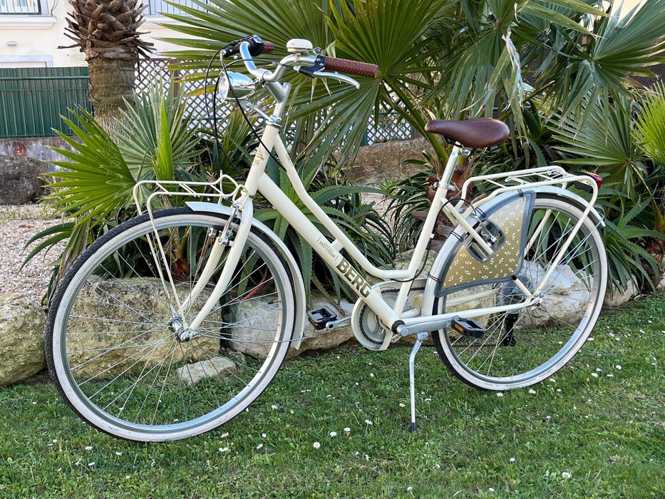 Bicicleta pasteleira moderna feminina