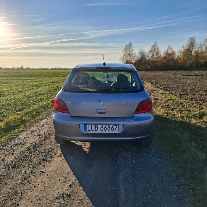 Peugeot 307 2.0 B+G