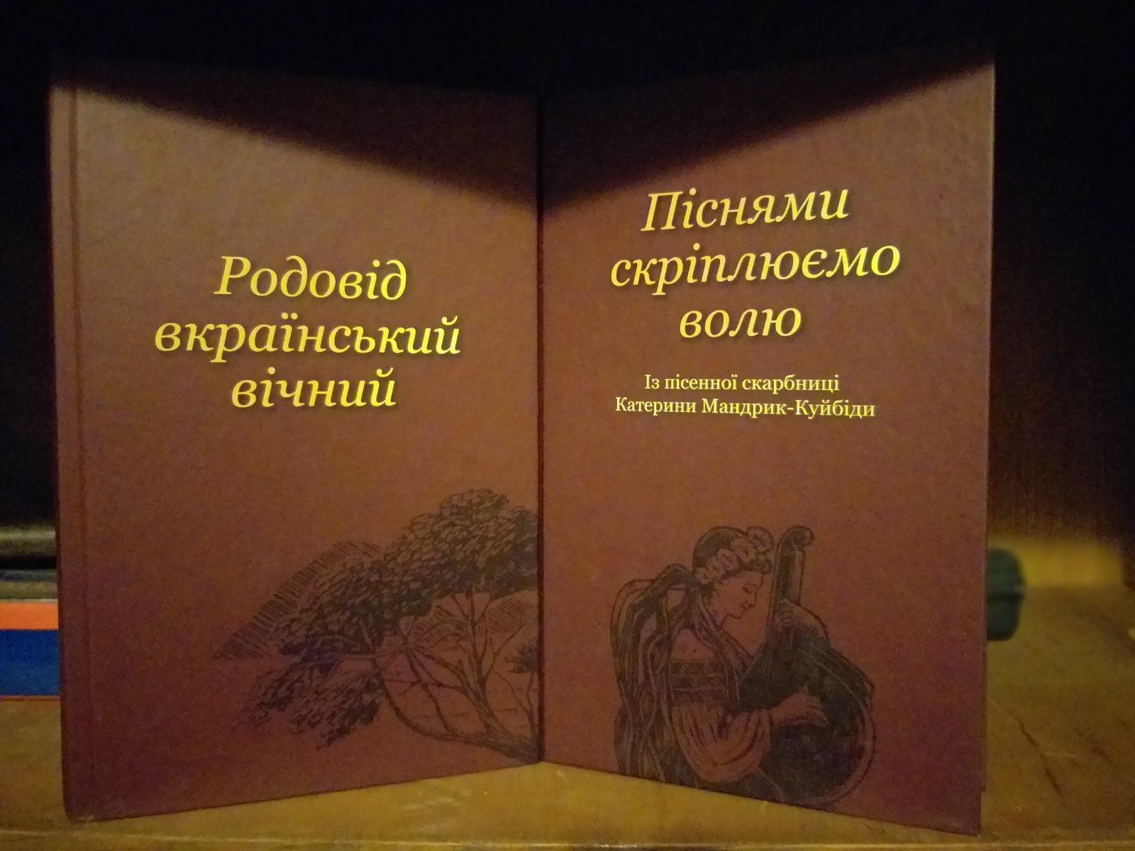 Старі книги для поціновувачів літератури