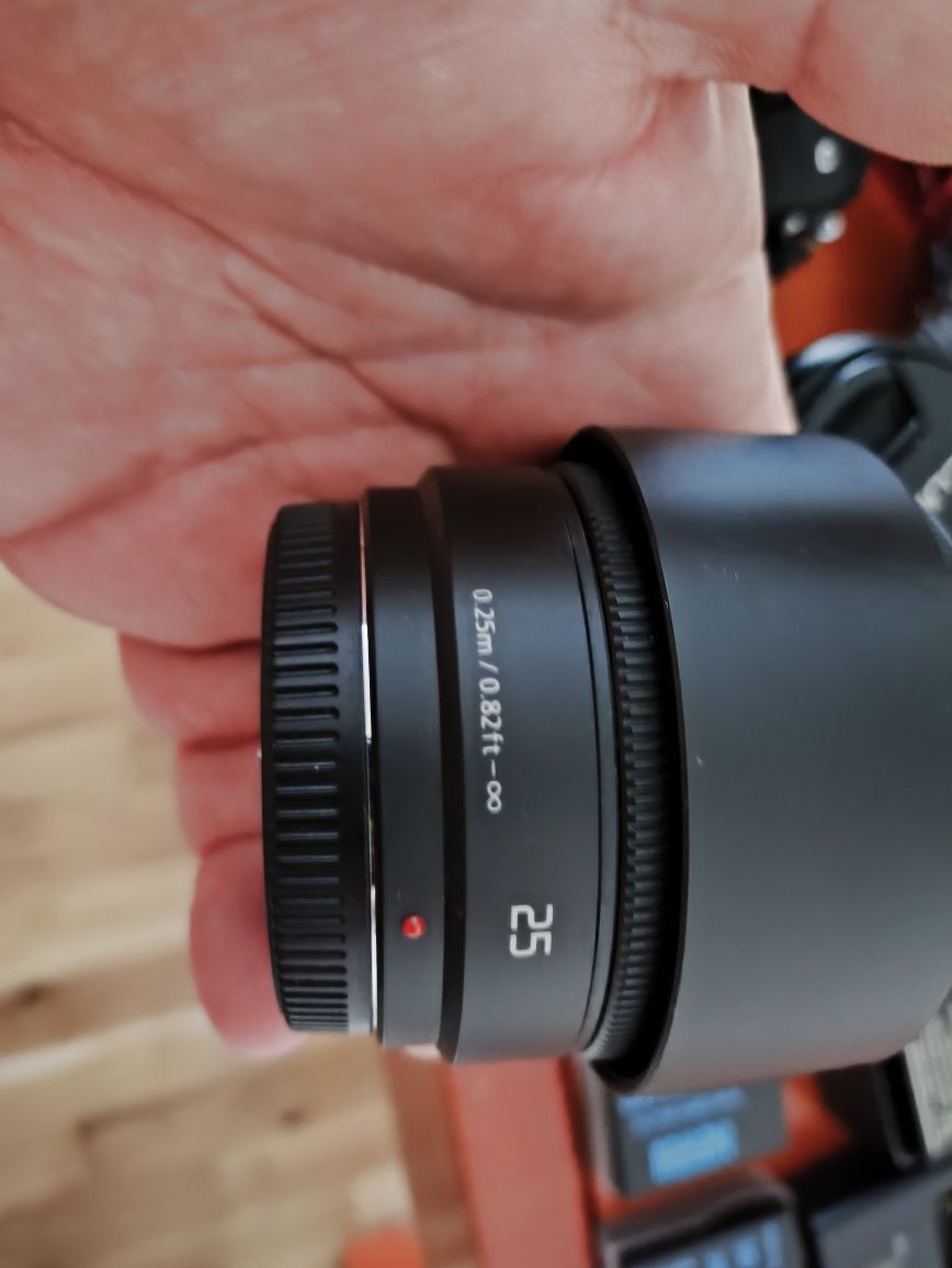 Panasonic Lumix G80M