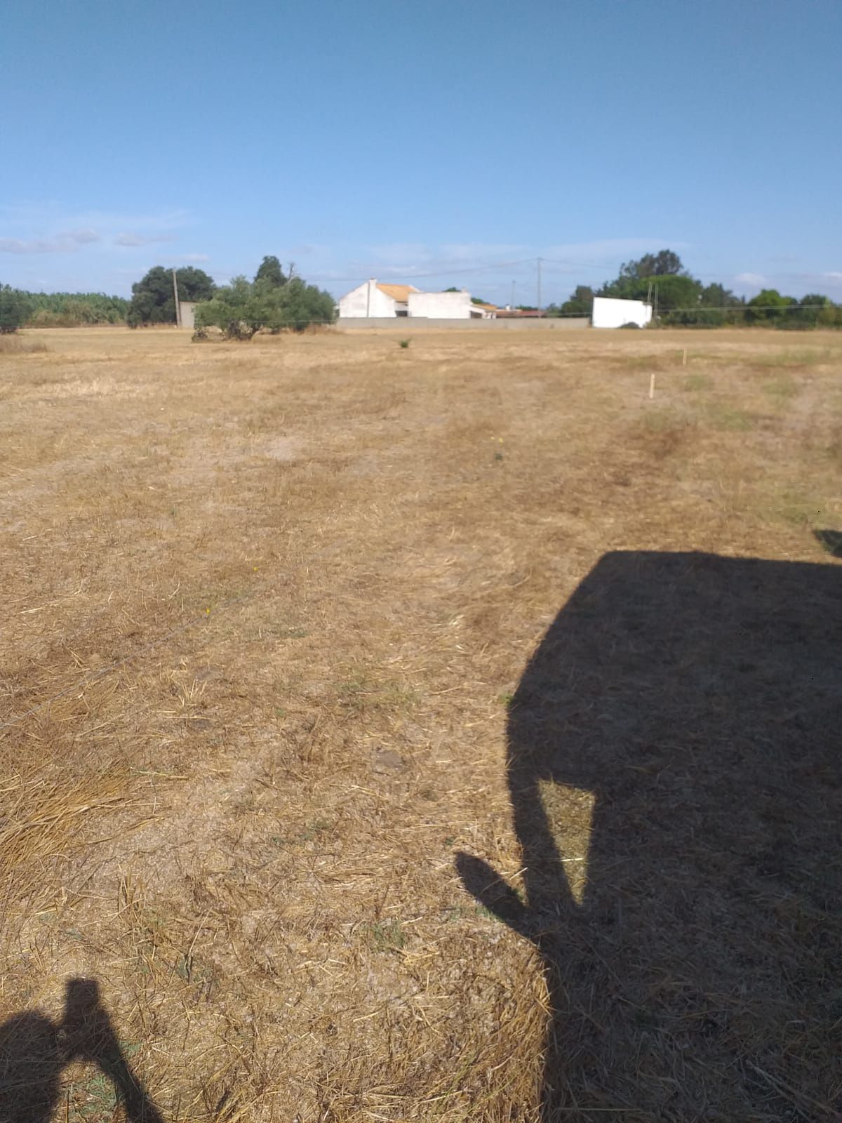 Lotes rusticos  c/ agua e luz 6mil de entrada