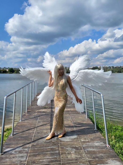 Крылья шестикрылого ангела