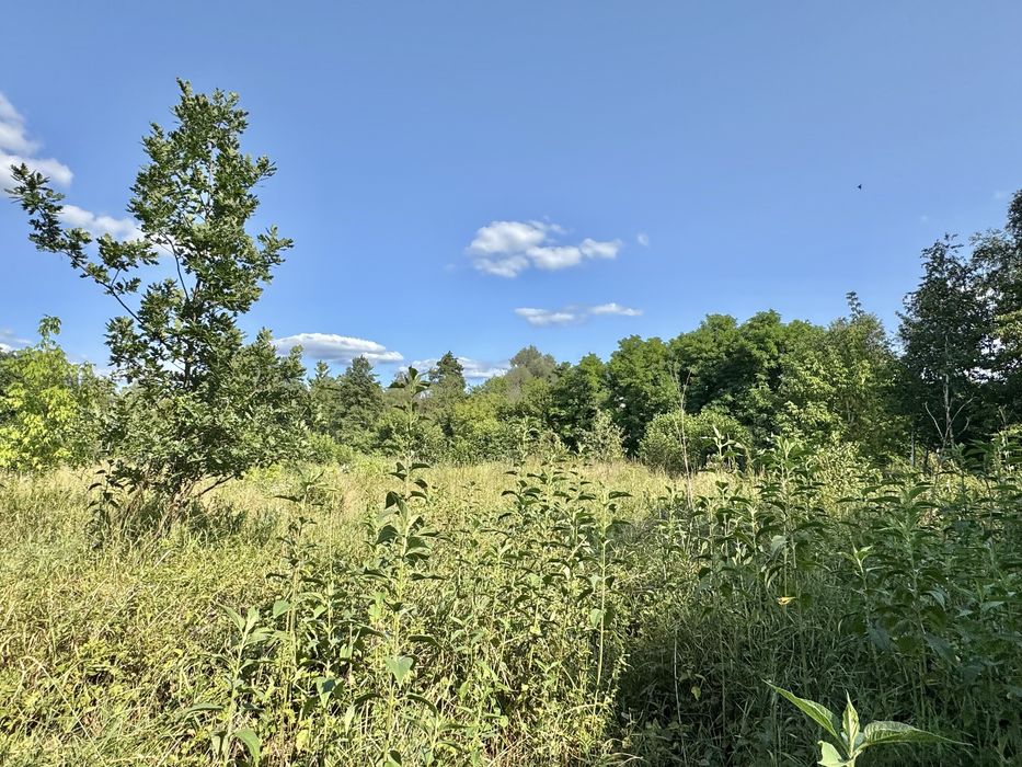 Продам фасадну земельну ділянку 3,3 Га!