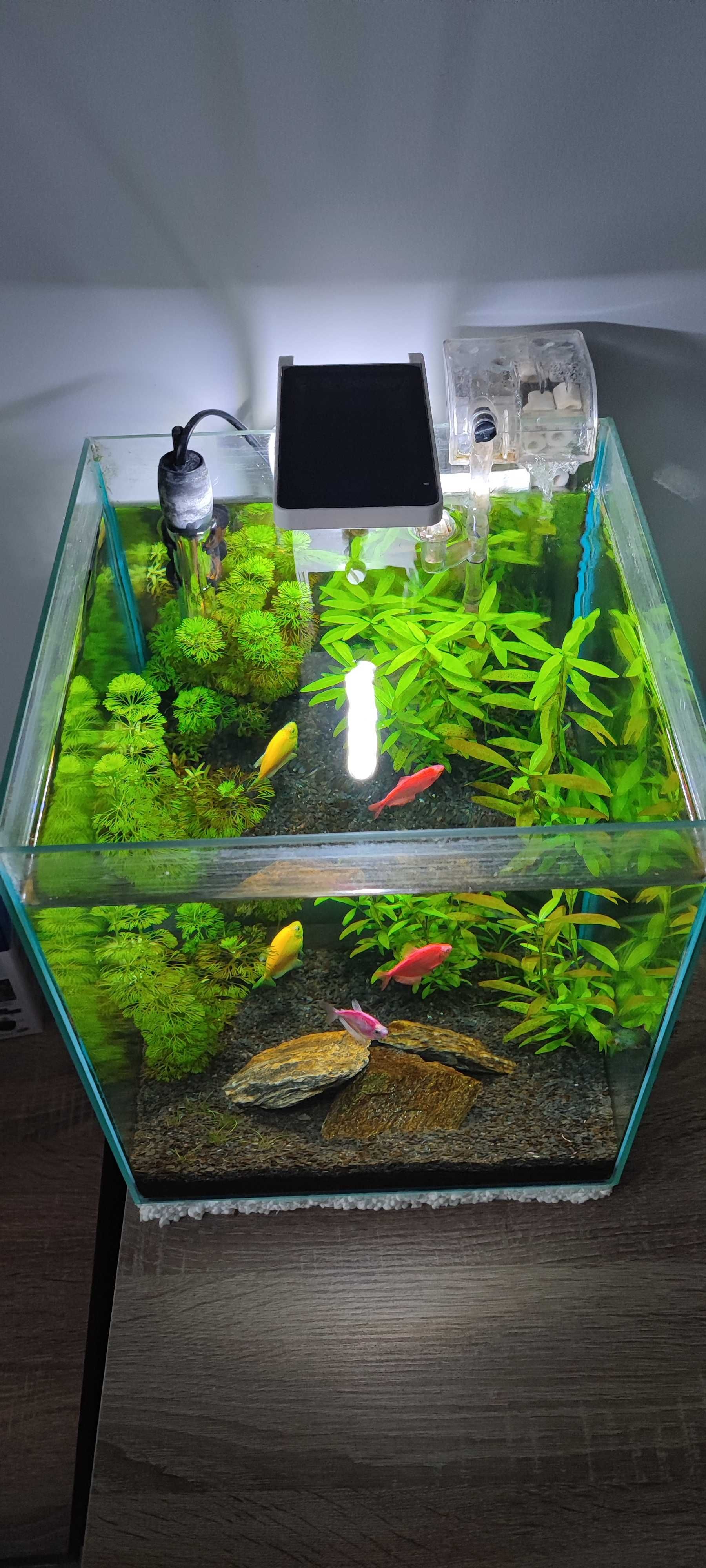 Akwarium kostka 30l