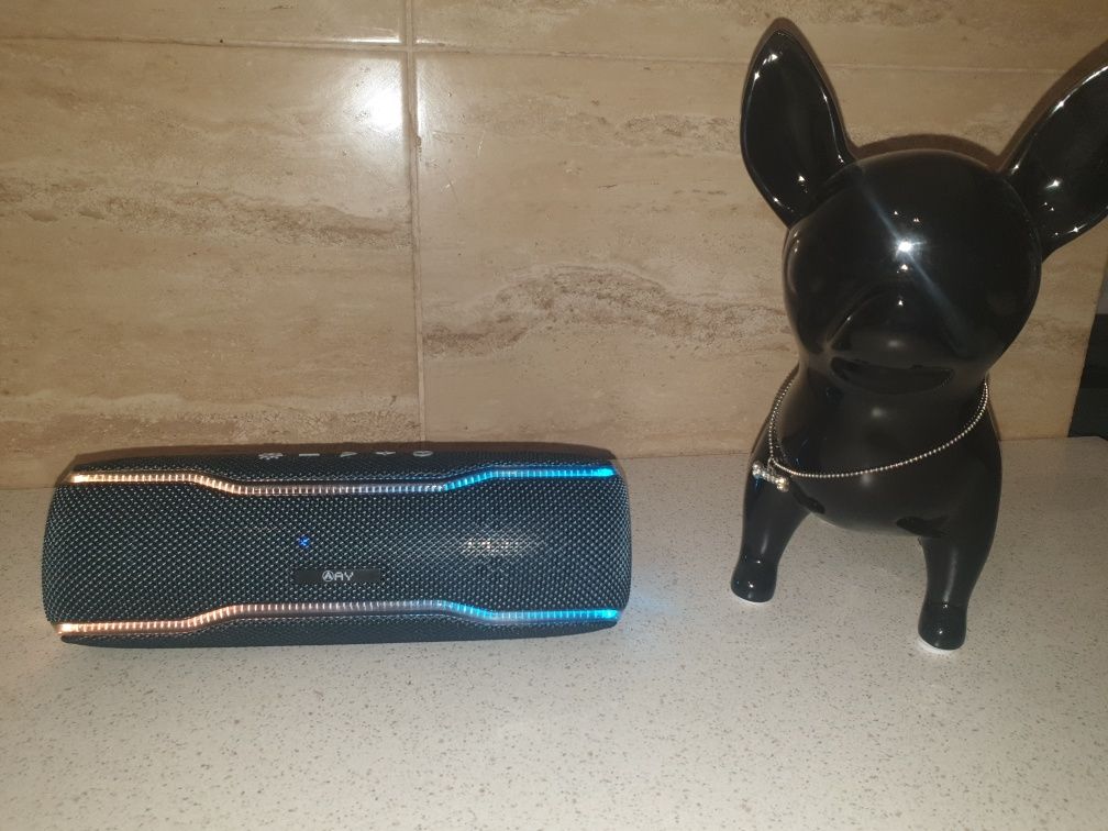 Przenośny głośnik Bluetooth Rohs