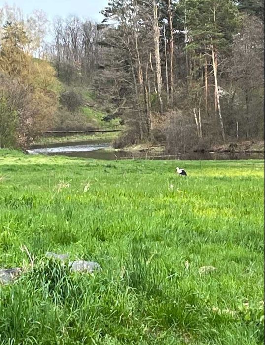 Будинок з виходом до рiчки