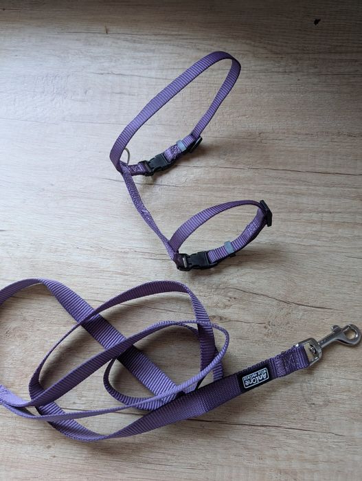 Małe szelki dla kota/psa