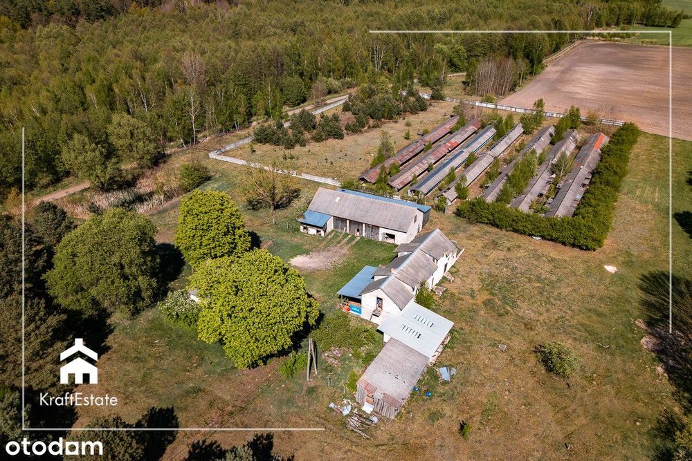 11,8 ha pełnej prywatności • Stawy, natura, cisza