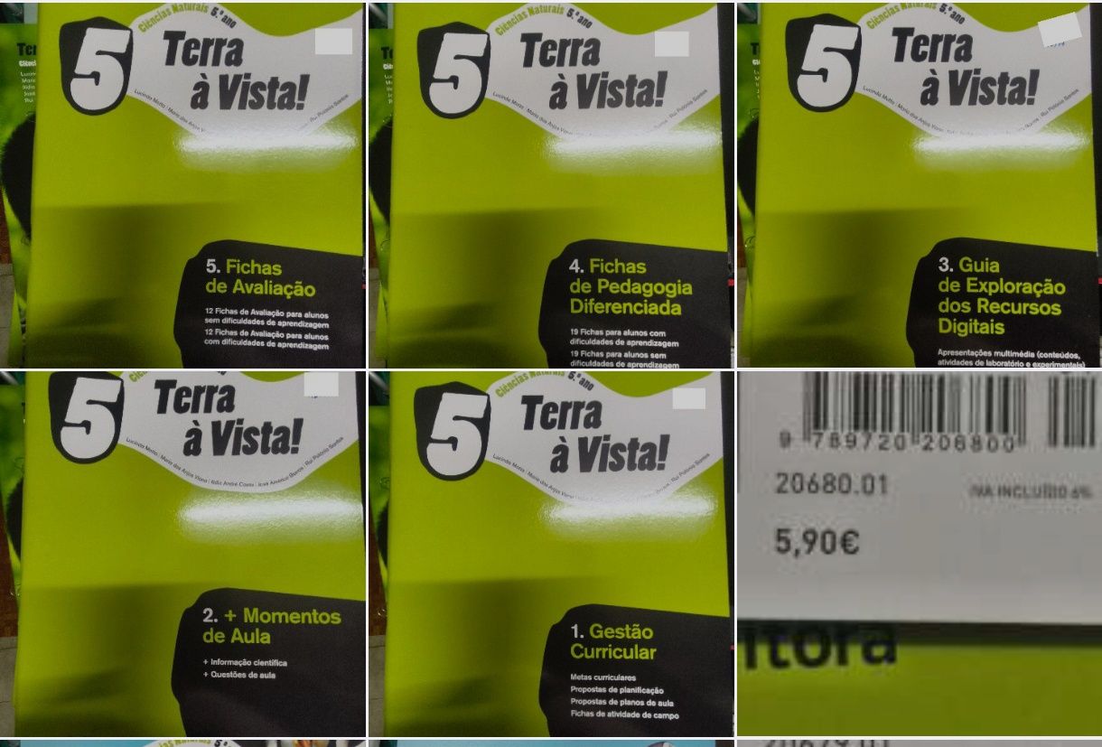 Terra à vista 5 (manual e ca do professor+fichas e testes extra)
