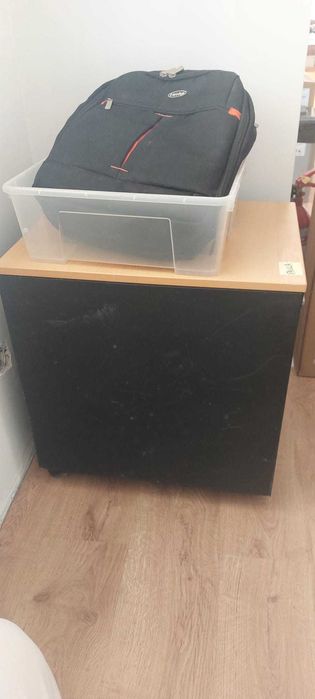 Artmario apoia a secretária