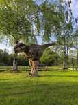 Wynajem realistycznego dinozaura