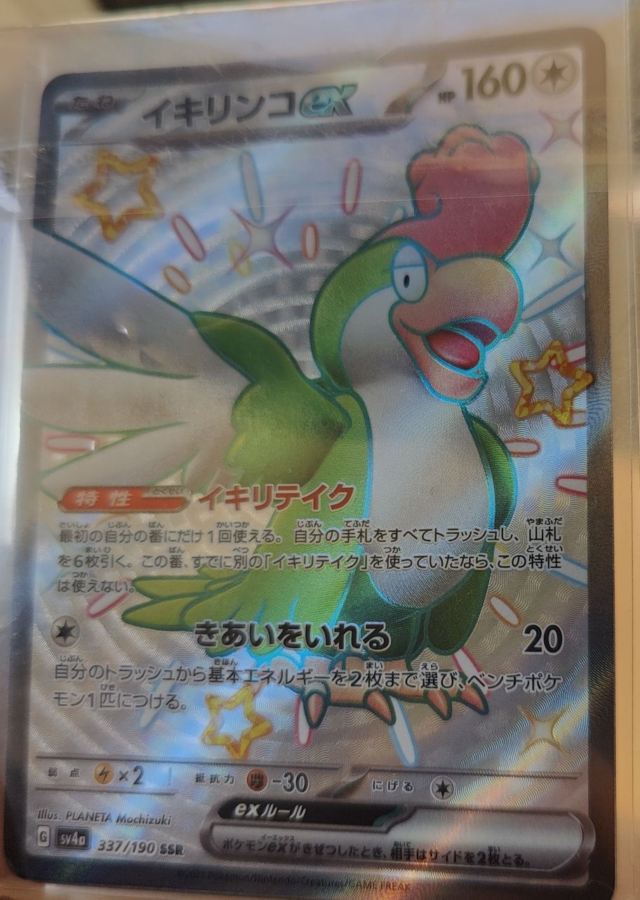 Carta Pokémon shiny Squawkabilly