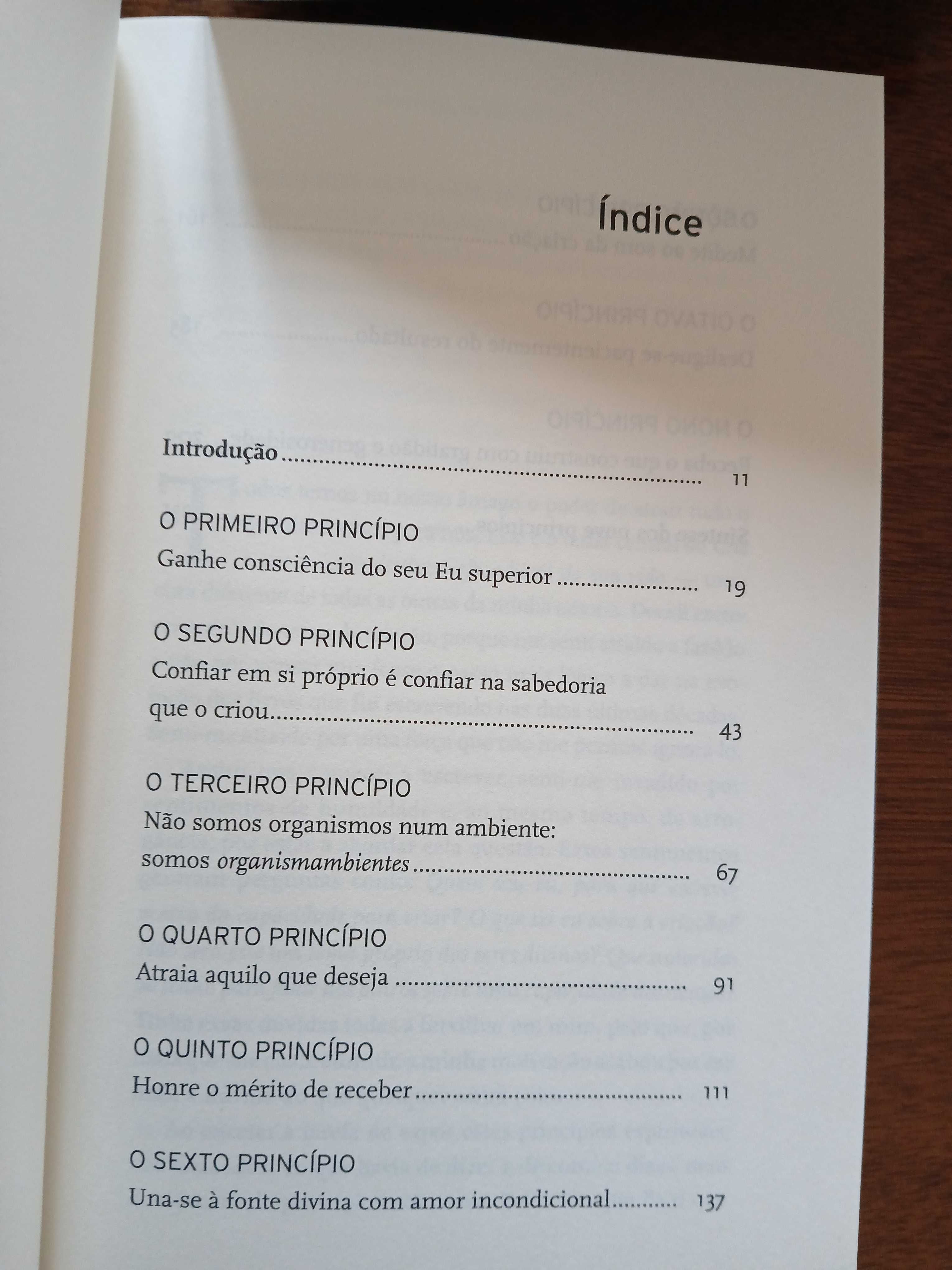 Livro de Wayne Dyer - Crie Seu Próprio Destino.