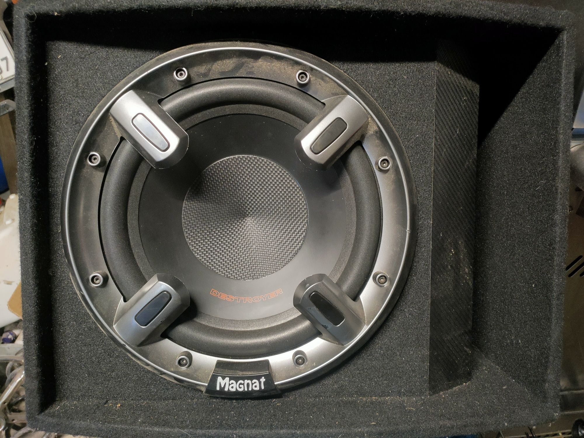 Subwoofer magnat