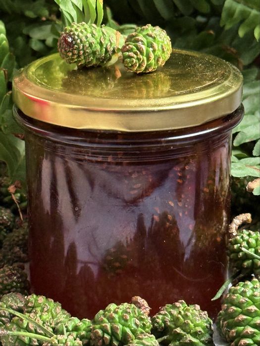 Naturalny dżem z młodych szyszek sosnowych