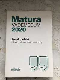 Matura vademecum 2020 język polski