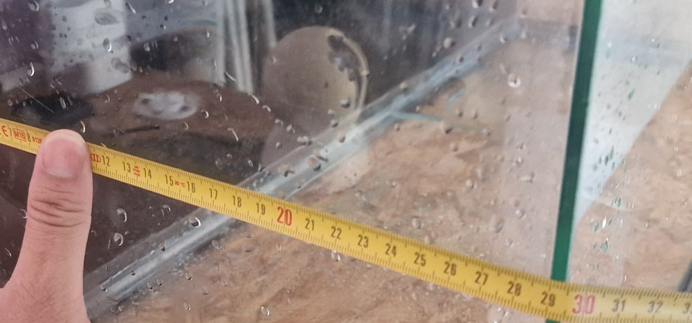 Aquário e vários acessórios