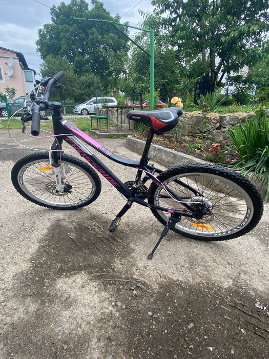 Crossride moly lady 24