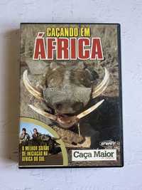 DVD Caçando em África