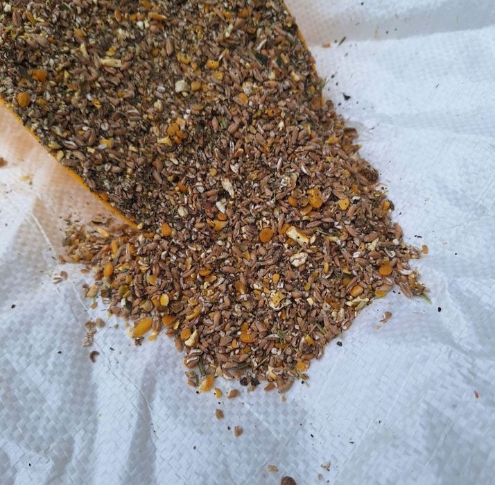 Mieszanka Pełnowartościowa Dla Kur Niosek 25kg