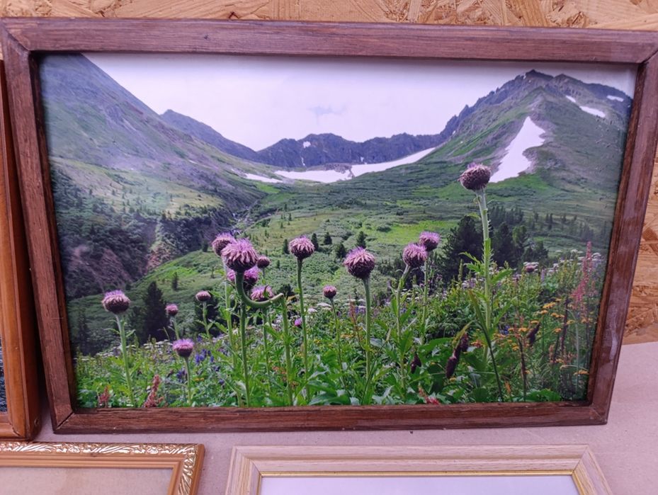 Картина на стену фотография  в рамках картинка в рамке природа пейзаж