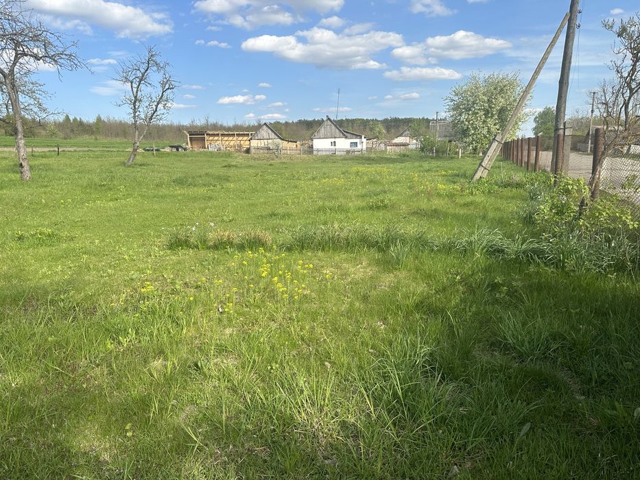 Земельна ділянка біля лісу в с. Путренці