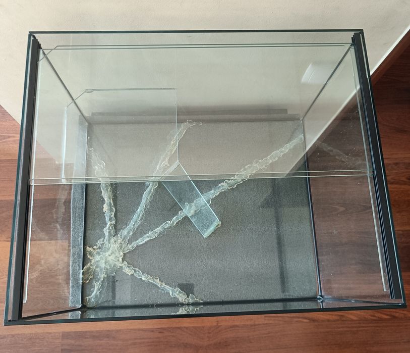 Aquário tartarugueira