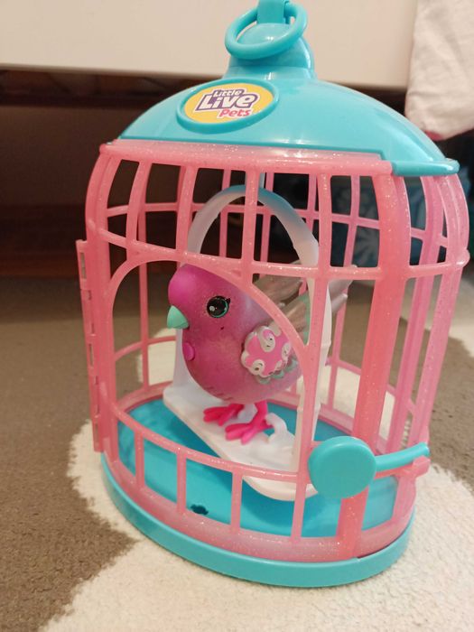 Little live pets śpiewający ptak