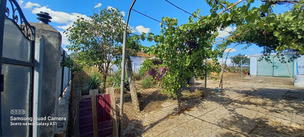 Продам будинок. село Дмитрівка Березанський район