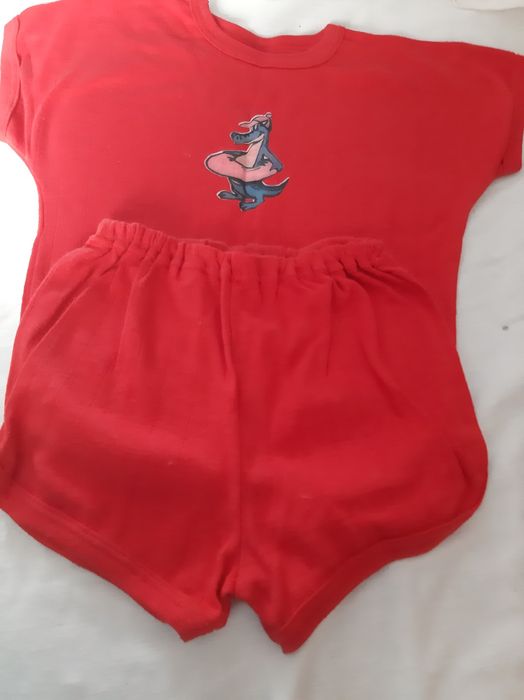 Шорти і футболка  дитячий комплект.