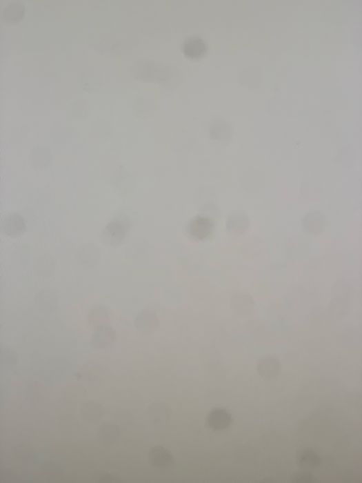 Iphone xs 64Gb 86% bateria