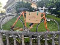Bicicleta adultos