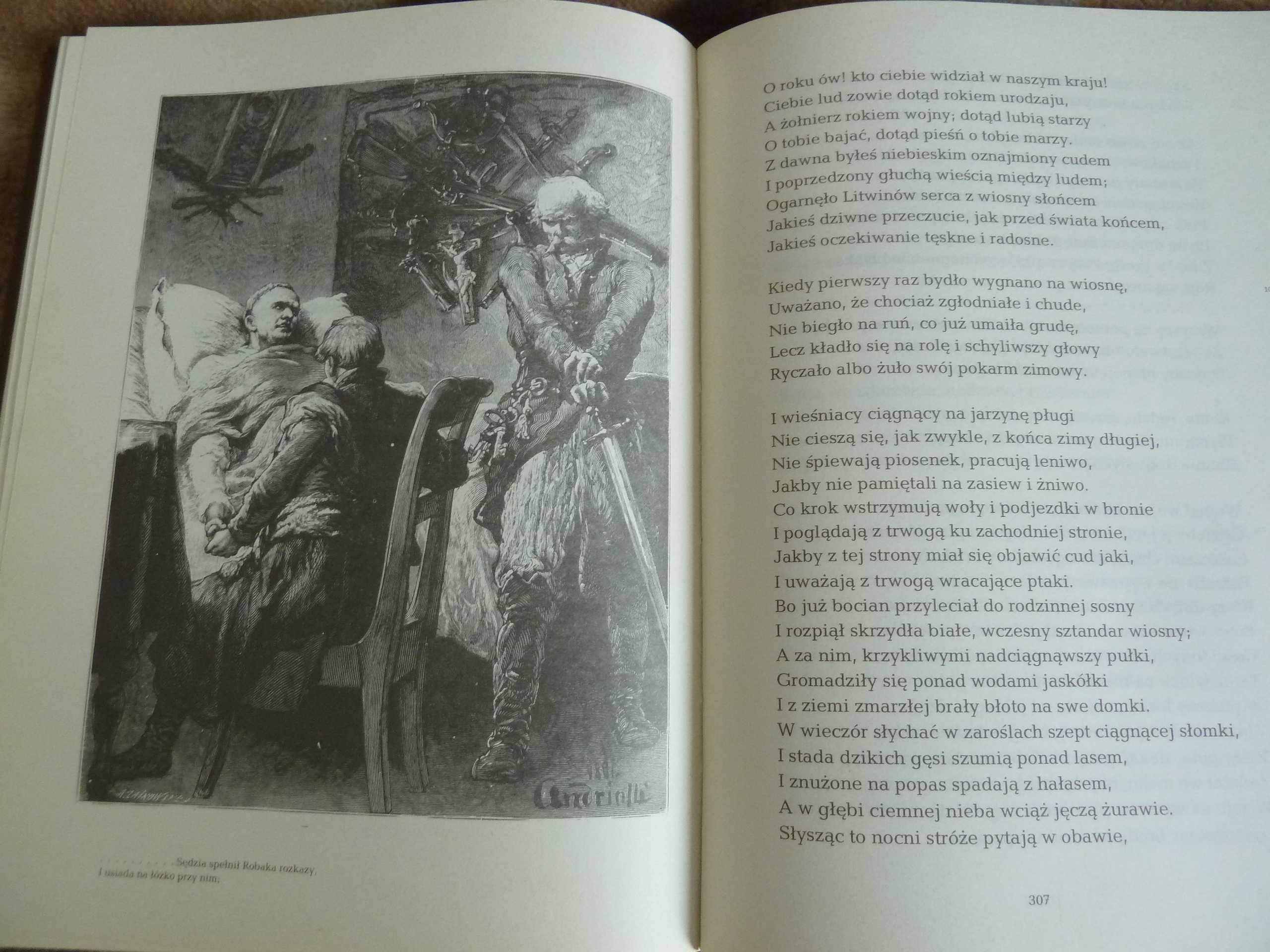 Pan Tadeusz - książka