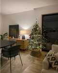 Árvore de natal continente 180cm