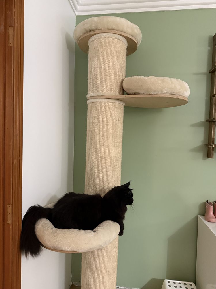 Arranhador gatos natural  paraside XXL