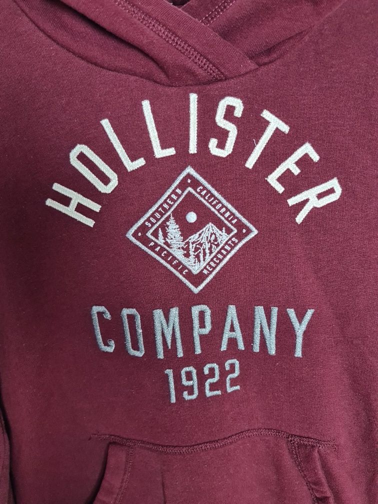 Bluza z kapturem Hollister
