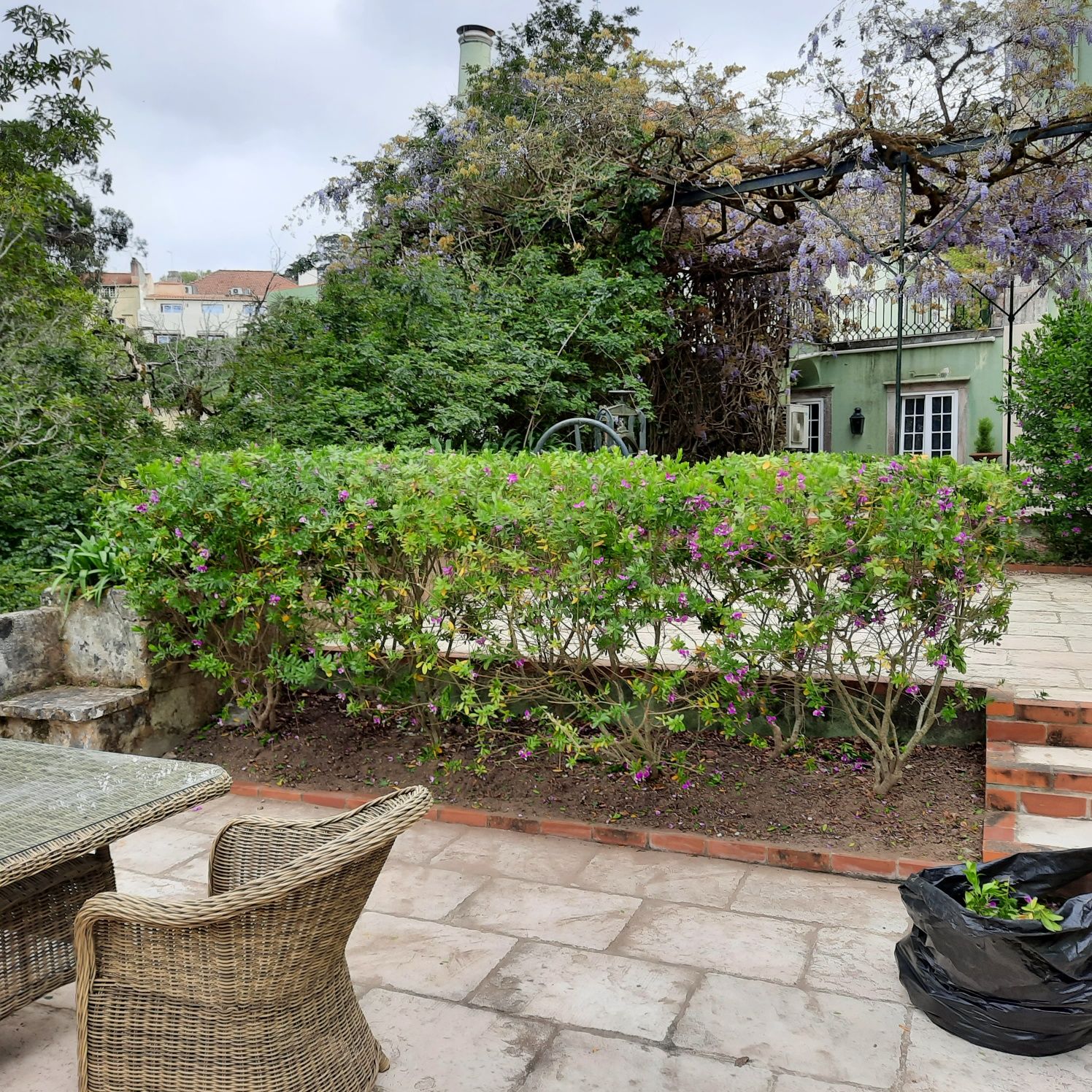 Transforme Seu Jardim! Serviços de Jardinagem com Qualidade  Dedicação