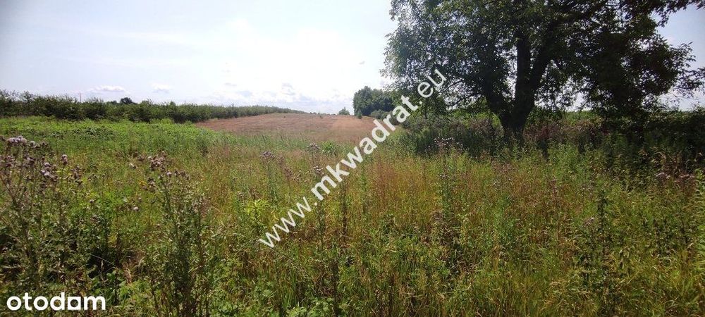 ⭐⭐⭐⭐ Okazja Działka 19000m2 z warunkami zabud!⭐⭐⭐⭐