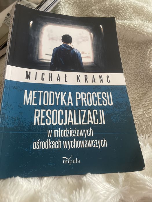 Książka Metodyka procesu resocjalizacji