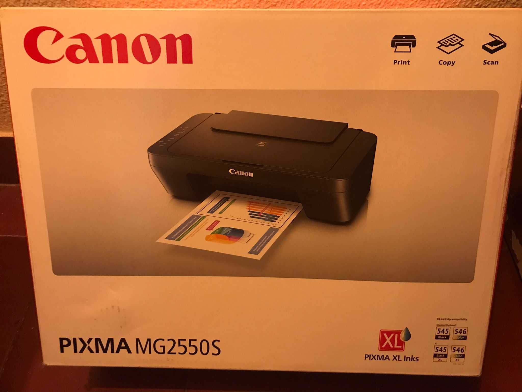 Impressora Canon PIXMA MG2550S