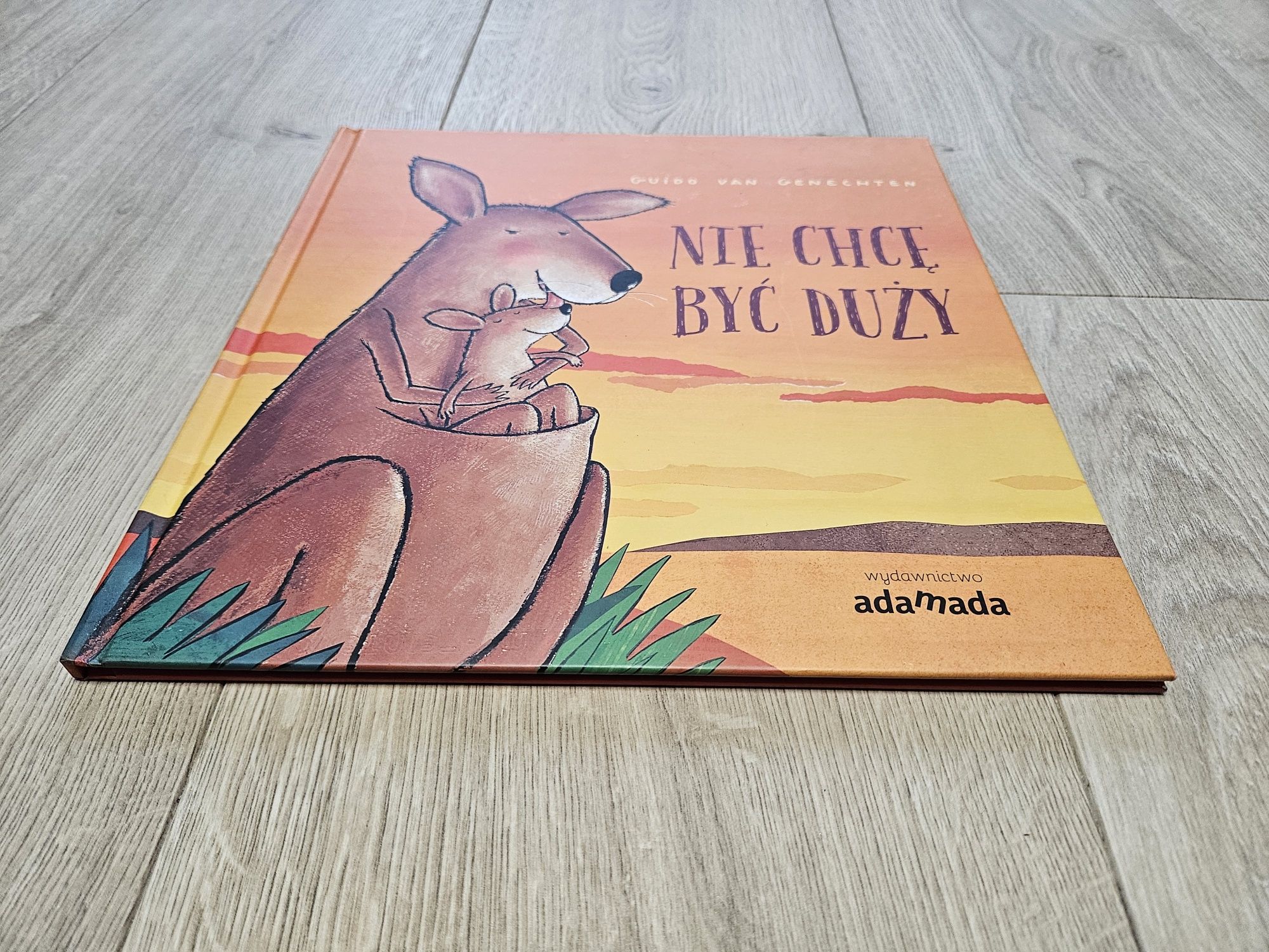 Książka Nie chcę być duży Wydawnictwo Adamada jak nowa