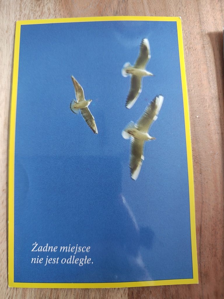 5 pocztówek i 1 kartka pocztowa z aforyzmami vintage