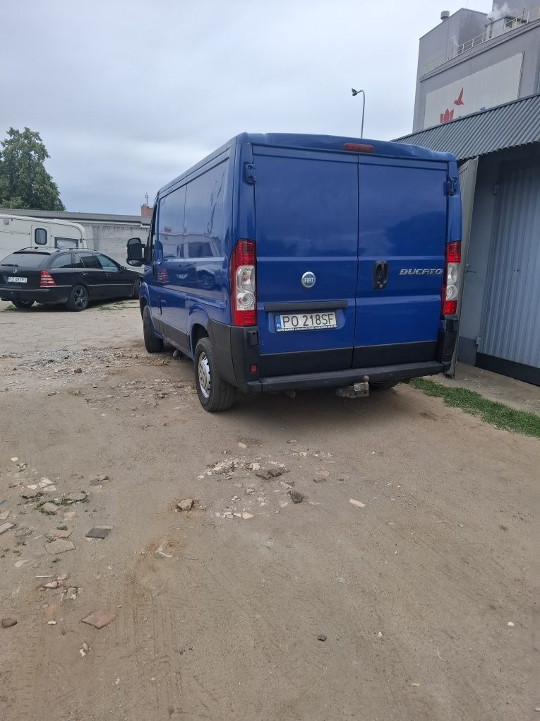 Wynajem/wypożyczenie busa